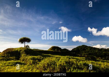 Ked Ra Ngchemiangel, Kamyangel terrazze, semplicemente 'Ked' o 'terrazza', antica collina a schiera fatta dall'uomo, Isola di Babeldaob, Palau, Micronesia, Oceania Foto Stock