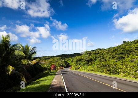 Strada nazionale principale che corre nella foresta pluviale, Compact Road, Ngchesar, Isola di Babeldaob, Palau, Micronesia, Oceania Foto Stock