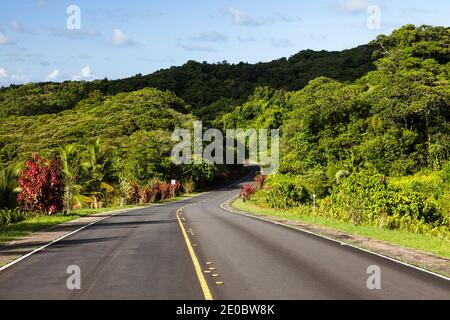 Strada nazionale principale che corre nella foresta pluviale, Compact Road, Ngchesar, Isola di Babeldaob, Palau, Micronesia, Oceania Foto Stock