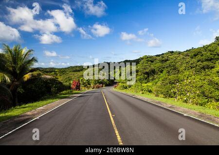 Strada nazionale principale che corre nella foresta pluviale, Compact Road, Ngchesar, Isola di Babeldaob, Palau, Micronesia, Oceania Foto Stock