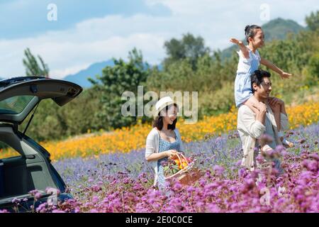 Camminate nei fiori erano in mare Foto Stock