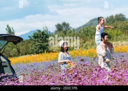 Camminate nei fiori erano in mare Foto Stock