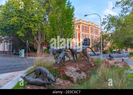 Statua dei diavoli della Tasmania a Launceston, Australia Foto Stock