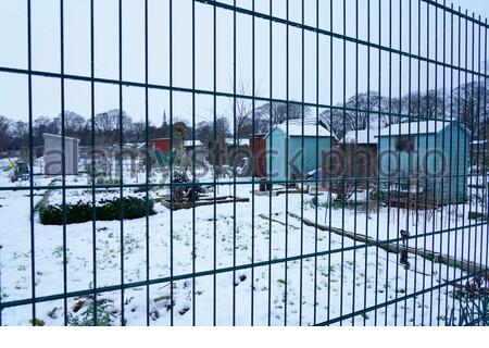 Edimburgo, Scozia, Regno Unito. 31 dicembre 2020. Neve pesante nel parco di Inverleith con gli allotti comunali coperti di neve. Credit: Craig Brown/Alamy Live News Foto Stock