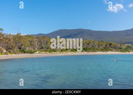 Baia dei pirati in Tasmania, Australia Foto Stock