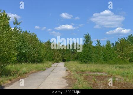 Parksrange, ehemaliger Truppenuebungsplatz, Osdorfer Strasse, Lichterfelde Berlino, Deutschland Foto Stock