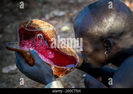 Raccolta di sangue di bovini, persone di Surma, valle di Omo, Etiopia Foto Stock