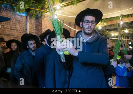 A Sukkot, uomini di tutte le età benedicono le quattro specie in un Sukkah adiacente alla sinagoga principale di Lubavitch a Crown Heights, Brooklyn, New York City. Foto Stock