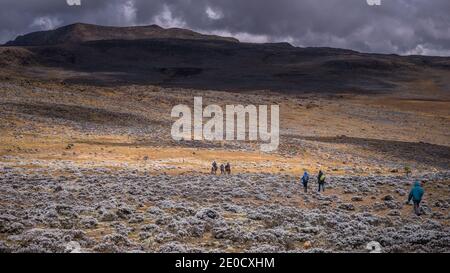 Escursionisti sull'altopiano di Sanetti, Bale montagne parco nazionale, Etiopia Foto Stock