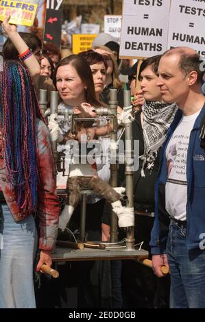 Una marcia anti vivisezione che dimostra contro la costruzione di un nuovo laboratorio animale all'università di Oxford. High Street, Oxford, Oxfordshire, Regno Unito. 22 Apr 2006 Foto Stock