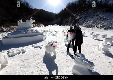 Luoyang, Cina. 31 dicembre 2020. I lavoratori hanno intagliato 100 buoi per dare il benvenuto all'anno del bue nella stazione sciistica di montagna di Funiu a Luoyang, Henan, Cina, il 31 dicembre 2020. (Foto di TPG/cnsphotos) (Foto di Top Photo/Sipa USA) Credit: Sipa USA/Alamy Live News Foto Stock