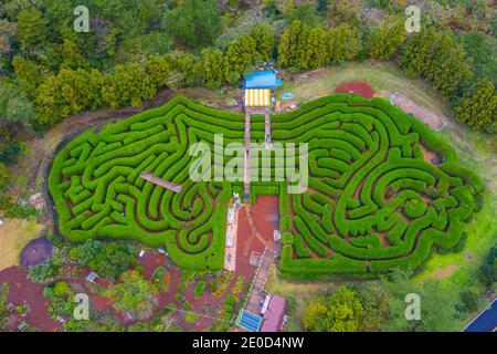 Veduta aerea del Parco del labirinto di Jeju, repubblica di Corea Foto Stock