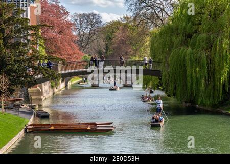 Turisti che si godono gite punt lungo il fiume Cam in centro Cambridge, Regno Unito Foto Stock