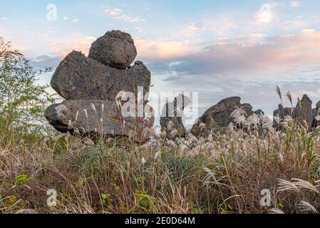 Dongjasok - guardiani di pietra a Jeju parco di pietra, repubblica di Corea Foto Stock