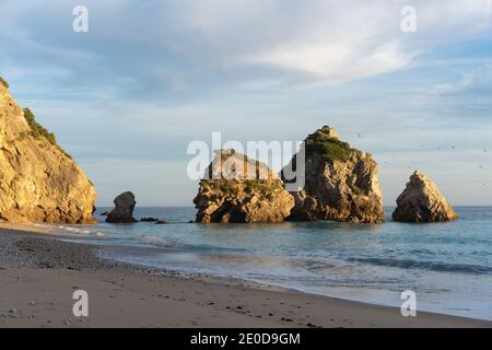 Spiaggia paradiso Ribeiro do Cavalo nel Parco Naturale di Arrabida a Sesimbra, Portogallo Foto Stock
