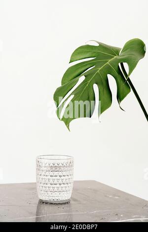 Vetro sfaccettato con acqua fresca posto su tavolo di marmo vicino impianto di monstera Foto Stock