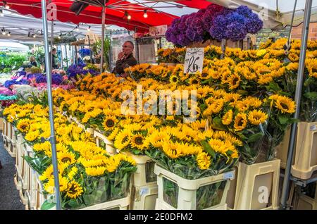 Columbia Road mercato girasole stalla Foto Stock