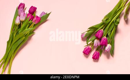 Tulipani di composizione primaverile su sfondo rosa pastello, vista dall'alto, cornice, bordo. Carino biglietto d'auguri con fiori per il giorno delle madri, nozze o ev felice Foto Stock