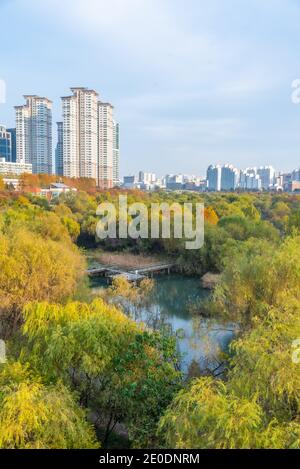 Parco lungo l'isola di Yeouido a Seoul, Repubblica di Corea Foto Stock