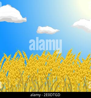 Un campo con orecchie mature di grano contro un cielo blu con nuvole. Illustrazione Vettoriale