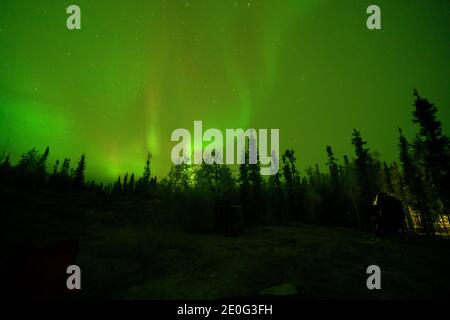 Yellowknife, Canada-30 agosto 2019: Aurora borealis o Northern light a Yellowknife, Canada Foto Stock
