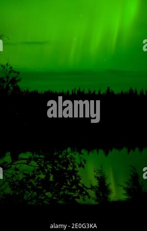 Yellowknife, Canada-30 agosto 2019: Aurora borealis o Northern light a Yellowknife, Canada Foto Stock
