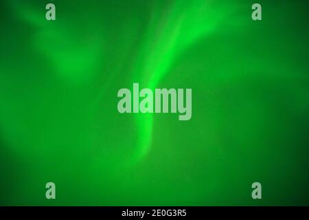 Yellowknife, Canada-30 agosto 2019: Aurora borealis o Northern light a Yellowknife, Canada Foto Stock