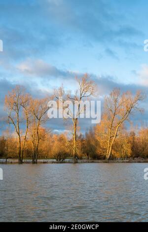 Fiume allagato windrush attraverso il campo di cricket nel villaggio di cotswold Swinbrook la vigilia di natale 2020. Swinbrook, Cotswolds, Oxfordshire, Inghilterra Foto Stock