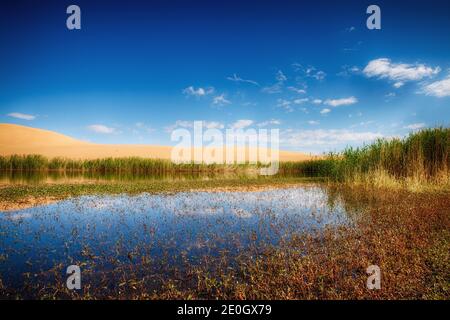 Deserto di Gobi della Mongolia orientale Foto Stock