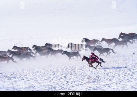 (210101) -- PECHINO, 1 gennaio 2021 (Xinhua) -- He Jiaolong, vice capo della Contea di Zhaosu, cavalcava un cavallo in un campo di cavalli nella Contea di Zhaosu, Prefettura autonoma di Kazak di Ili, Regione Autonoma Xinjiang Uygur della Cina nord-occidentale, 31 dicembre 2020. Conosciuta come la città natale di una delle migliori razze di cavalli in Cina, Zhaosu si è trasformata in un'area turistica equina con viste mozzafiato dei cavalli da galoppo e degli spettacoli equestri. Con abbondanti risorse di ghiaccio e neve, Zhaosu ha anche fatto grandi sforzi per sviluppare popolari attività invernali, aiutando la gente del posto ad aumentare il reddito. (Xinhua/Bai Zhiqian Foto Stock