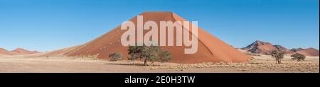 Paesaggio duna panoramica tra Sesriem e Sossusvlei in Namibia. Gli alberi sono visibili Foto Stock