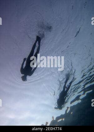 due donne nuotano sulla superficie del mare in rosso mare Foto Stock
