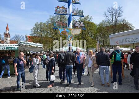 Maibaum, Viktualienmakt, Monaco di Baviera, Deutschland Foto Stock