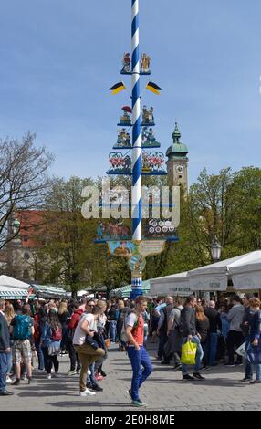 Maibaum, Viktualienmakt, Monaco di Baviera, Deutschland Foto Stock