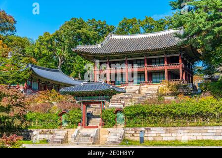 Edificio tradizionale presso lo Stagno di Buyongji all'interno del giardino segreto del palazzo Changdeokgung a Seoul, Repubblica di Corea Foto Stock