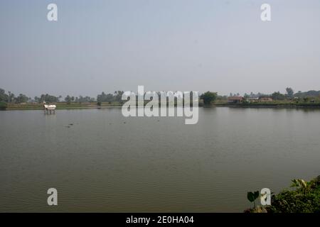 azienda di coltivazione di gamberi al sundarban del bengala occidentale Foto Stock