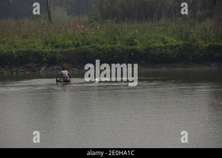 azienda di coltivazione di gamberi al sundarban del bengala occidentale Foto Stock