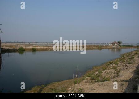 azienda di coltivazione di gamberi al sundarban del bengala occidentale Foto Stock