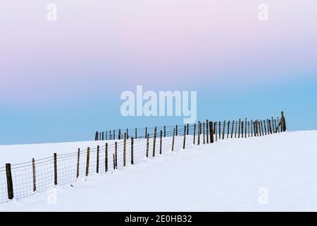 I FencepPosts fanno un modello astratto in un campo innevato a metà inverno, nel Regno Unito Foto Stock