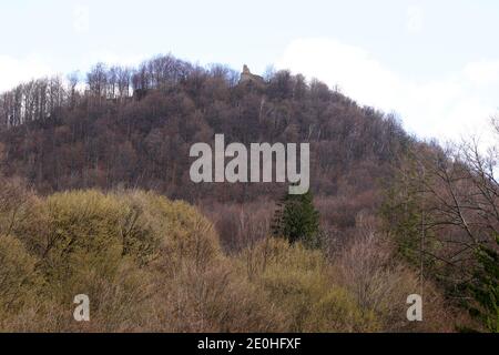 Contea di Covasna, Romania. Le rovine del medievale Castello Balvanyos. Foto Stock