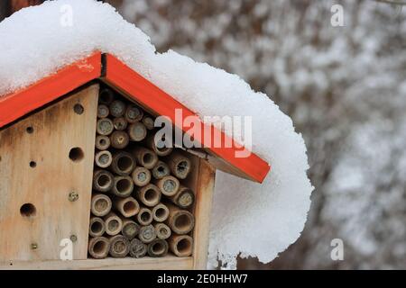 Neve sul tetto di un hotel di insetti nel giardino. Foto Stock