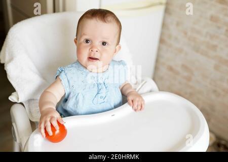 Baby mangiare verdure. Pomodoro rosso in mano bambina in cucina soleggiato. Nutrizione sana per i bambini. Alimenti solidi per bambini. Snack o colazione per voi Foto Stock