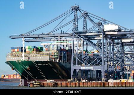 La foto del 17 dicembre mostra i container scaricati al porto di Felixstowe a Suffolk giovedì mattina da una delle navi più grandi del mondo, i sempre dotati che hanno navigato da Taiwan. I container sono stati visti essere scaricati da una delle più grandi navi del mondo a Felixstowe Port a Suffolk oggi (Thurs), mentre le questioni di congestione continuano. Le casse sono state tolte dalla massiccia nave, mai dotata, che ha una lunghezza di 399 metri e una larghezza di 59 metri. Ritardi nel porto del Regno Unito significano che una serie di ordini di giocattoli non sarà più possibile a Natale, secondo la British Toy and Hobby Association (BTHA). Lo è Foto Stock