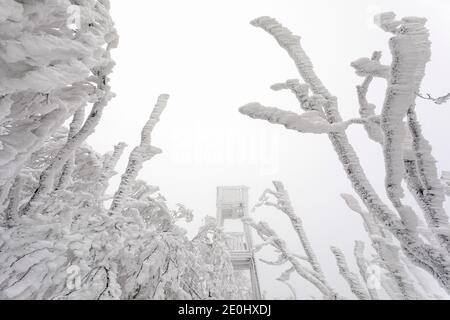 posto di caccia in legno, osservatorio coperto di neve ghiacciata in inverno Foto Stock