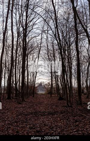 Sentiero in sottobosco in inverno in Alsazia, Francia - Vista della foresta in controluce, un percorso coperto di foglie morte conduce alla campagna nebbiosa. Foto Stock