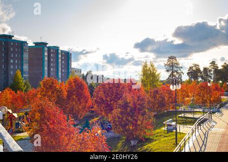 Paesaggio della città d'autunno. Red rowan alberi nel parco in una giornata di sole. Case sullo sfondo Foto Stock