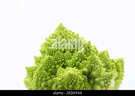 Romanesco broccoli isolato su sfondo bianco. Foto Stock