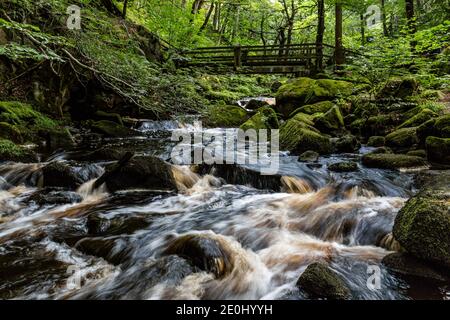 Ponte di legno su Burbage Brook a Padley Gorge, Peak District National Park, Derbyshire, Inghilterra Foto Stock