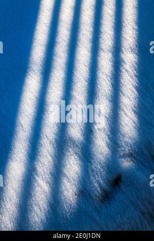 La recinzione in vinile bianco getta lunghe ombre invernali sulla neve fresca; Salida; Colorado; USA Foto Stock