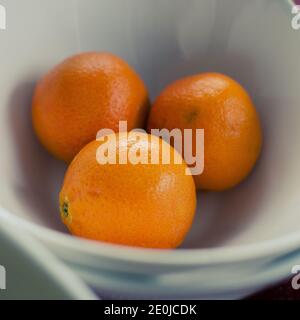 tre arance fresche in un recipiente bianco Foto Stock